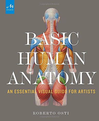 (VIDEO Review) Basic Human Anatomy: An Essential Visual Guide for