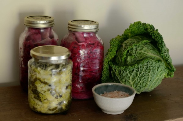 MD News Daily - Study Finds Link between Consumption of Fermented Vegetables and Low COVID-19 Mortality Rate MD News Daily - Study Finds Link between Consumption of Fermented Vegetables and Low COVID-19 Mortality Rate