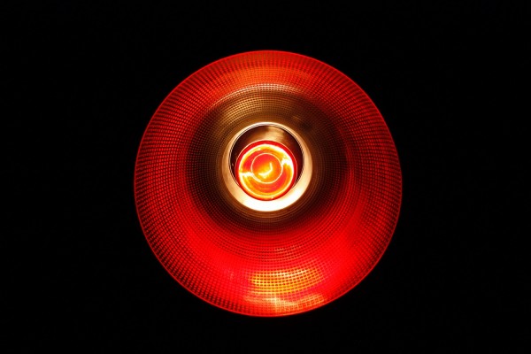 MD News Daily - Staring into Deep Red Light can Retain Vision, Study Finds
