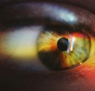 MD News Daily - A Bungee Cord causes a Man’s Iris to Collapse: Here’s What the Doctors Found