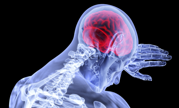 MD News Daily - A New Research Finding Says Parasite in the Brain Is Not Making One Sick