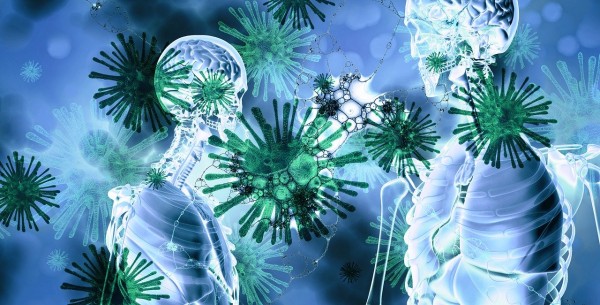 MD News Daily - Early Immune Response Be a Contributor To Severe COVID-19 Infection MD News Daily - Early Immune Response Be a Contributor To Severe COVID-19 Infection