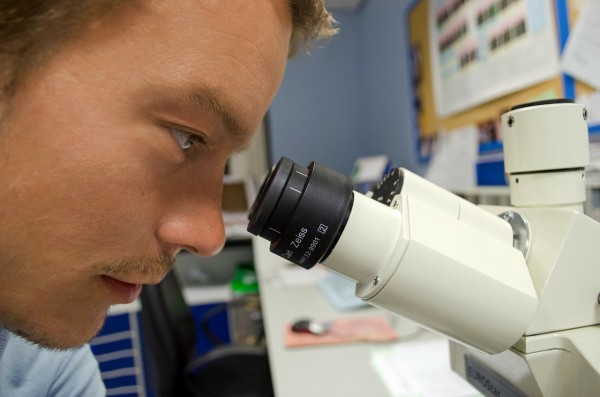 MD News Daily - Studies Find Link Between Cancer Risk and Multiple Sclerosis Patients MD News Daily - Studies Find Link Between Cancer Risk and Multiple Sclerosis Patients