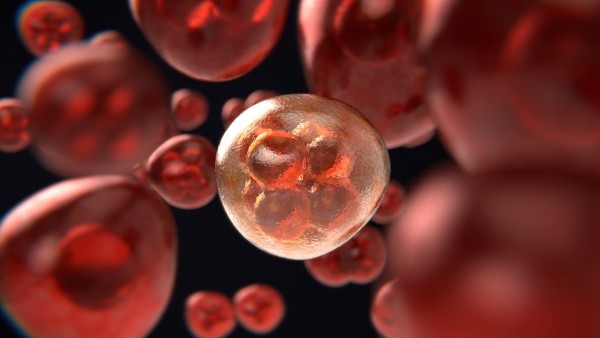 MD News Daily - The Power of Two: Scientists Test the Combination of ‘Oncolytic Virus’ and ‘Car T Cell Therapy’ To Eliminate Solid Tumors MD News Daily - The Power of Two: Scientists Test the Combination of ‘Oncolytic Virus’ and ‘Car T Cell Therapy’ To Eliminate Solid Tumors