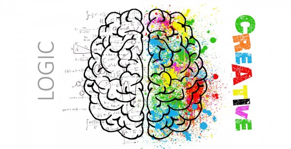 MD News Daily- Brains of Young Children Have A Superpower of Sorts MD News Daily- Brains of Young Children Have A Superpower of Sorts