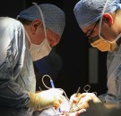 MD News Daily - Birmingham Hospital Conducts Kidney Transplant
