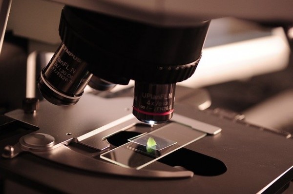 MD News Daily - Ongoing Research Discovery: A Gene that Can Reduce One’s Likelihood to Develop Alcohol Cirrhosis MD News Daily - Ongoing Research Discovery: A Gene that Can Reduce One’s Likelihood to Develop Alcohol Cirrhosis