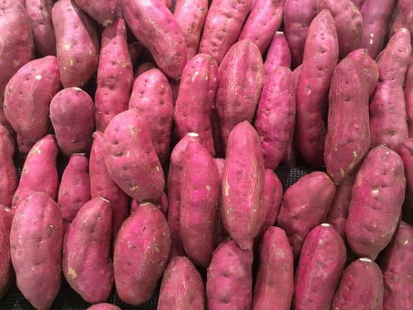MD News Daily - Why Should You Eat Purple Potatoes? Here are Some of the Benefits You can Get
