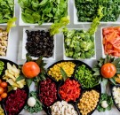 MD News Daily - Vegetarian, Plant-Based, and Vegan and Diets: What Are the Differences?