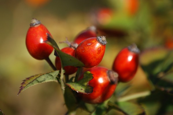 Photo: Photo:
