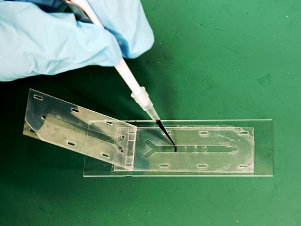 MD News Daily - New Drug Testing Approach for Pancreatic Cancer via the ‘Time Machine’ Discovered MD News Daily - New Drug Testing Approach for Pancreatic Cancer via the ‘Time Machine’ Discovered