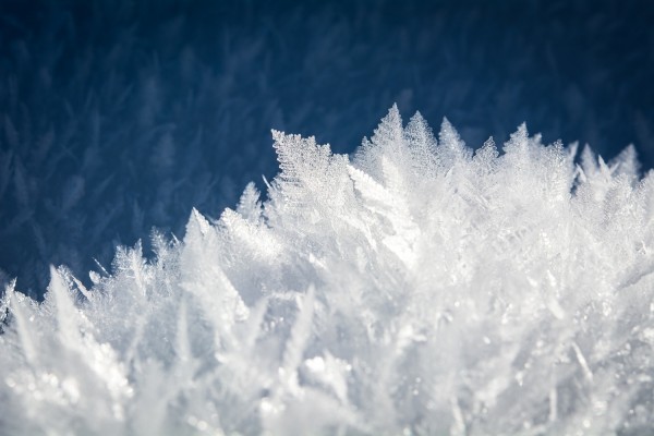 Photo: Photo: