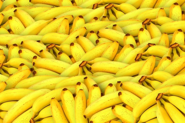 Photo: Photo: