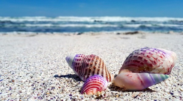 Photo: Photo: