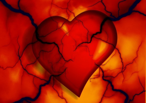 Photo: Photo: