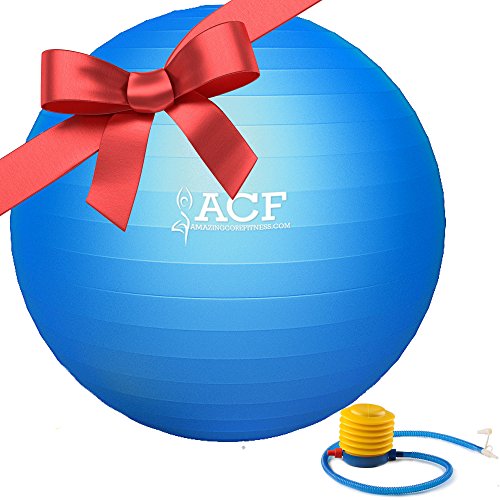 Top 5 Best pregnancy exercise ball for sale 2017 Product MD News Daily