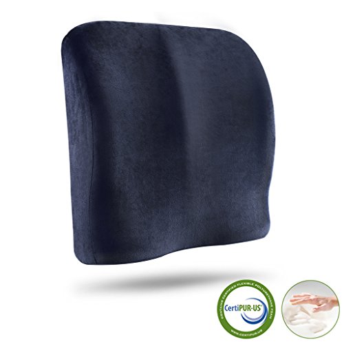 Top 5 Best lumbar wedge car seat cushion for sale 2017 Product MD