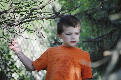 Problem-solving education reduces parental stress after child autism diagnosis Problem-solving education reduces parental stress after child autism diagnosis
