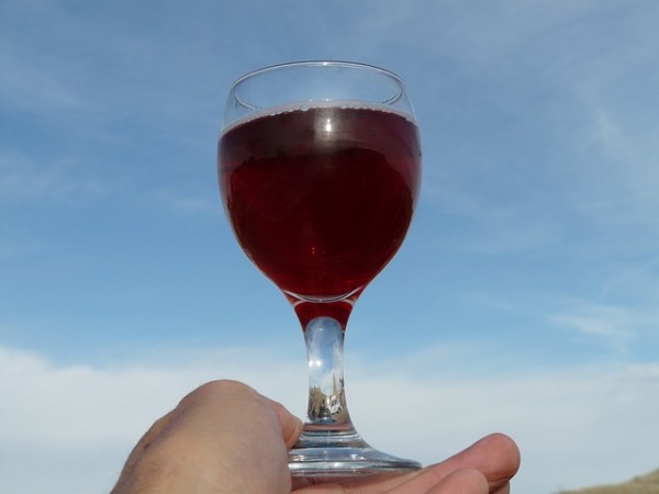 Glass Wine Glass Drink Wine Red Liquid Glass Wine Glass Drink Wine Red Liquid