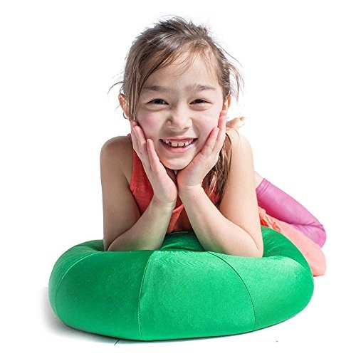 Top 5 Best adhd cushion for sale 2017