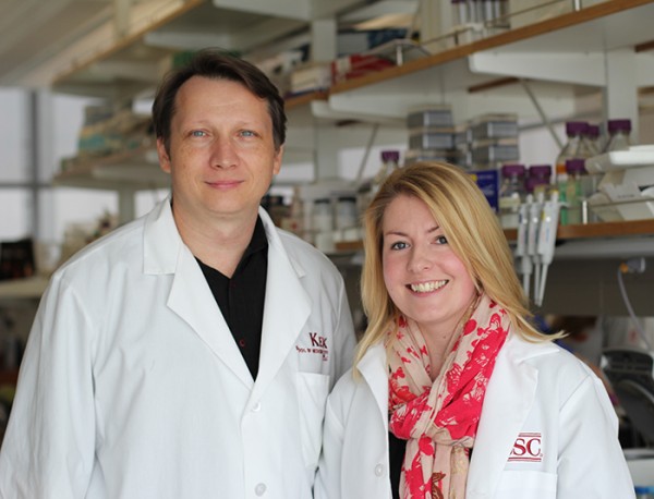 ste cell researchers ste cell researchers