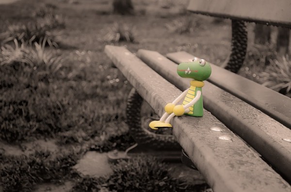Lost Toy Crocodile Puppet Wood Bench Park Lost Toy Crocodile Puppet Wood Bench Park