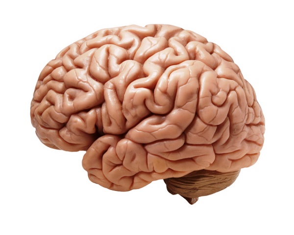 Cerebral Blood Flow Changes in Boys and Girls After Puberty Cerebral Blood Flow Changes in Boys and Girls After Puberty