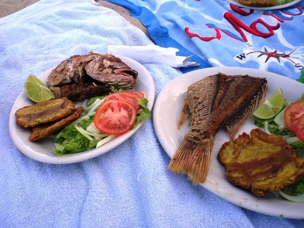 Eat Low-Mercury Fish During Pregnancy and Breast Feeding Eat Low-Mercury Fish During Pregnancy and Breast Feeding
