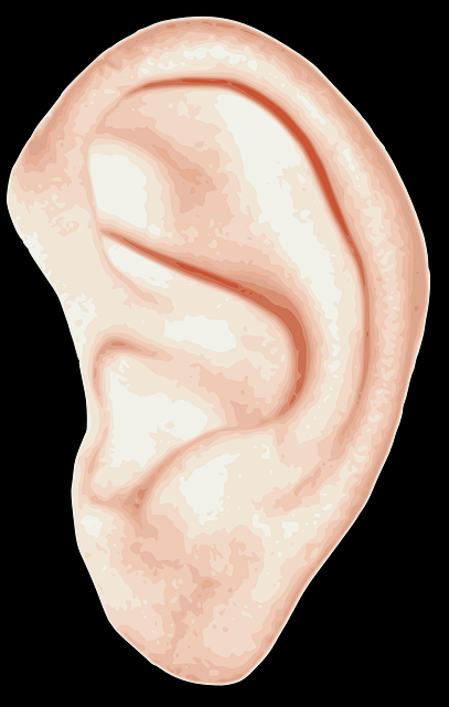 Left Ear Hear Human Biology Conch Cup Auricle