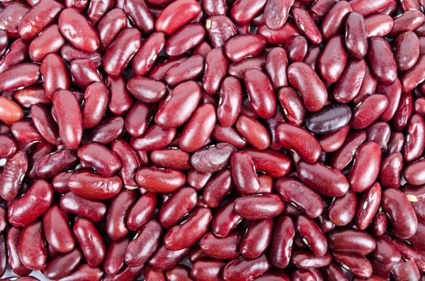 Beans Kidney Pile Heap Nobody Many White Red Beans Kidney Pile Heap Nobody Many White Red