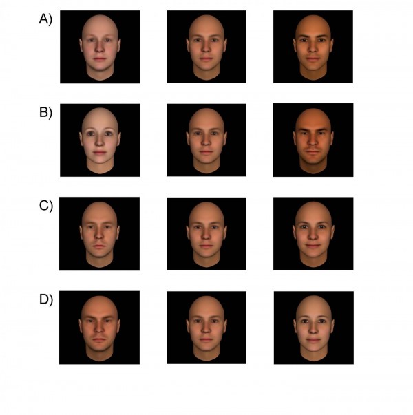 Building Models of Social Attributions from Faces