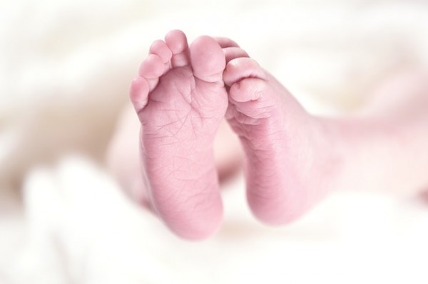 Newborn neurons in the adult brain may help us adapt to the environment