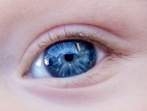 eye, blue, baby