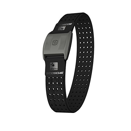 Where to buy the best heart rate monitor arm? Review 2017