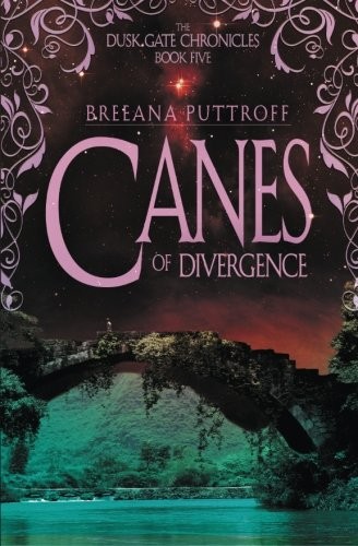 Most Popular canes of divergence on Amazon to Buy (Review 2017)