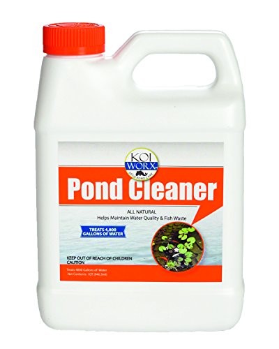 Where to buy the best bacteria pond cleaner? Review 2017
