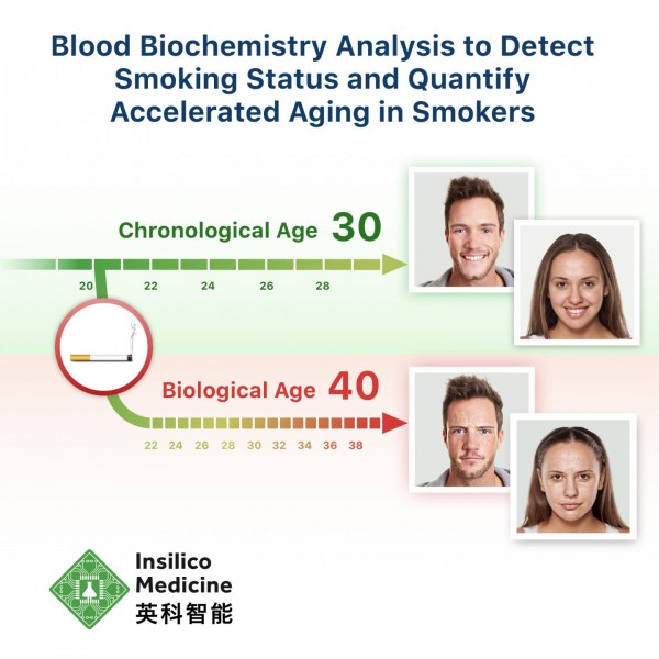 Smoking Accelerates Aging