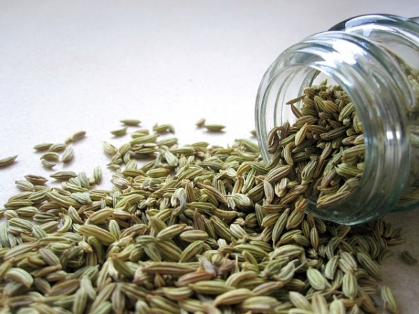 Fennel seeds are more often than not, common part of any Indian kitchen
