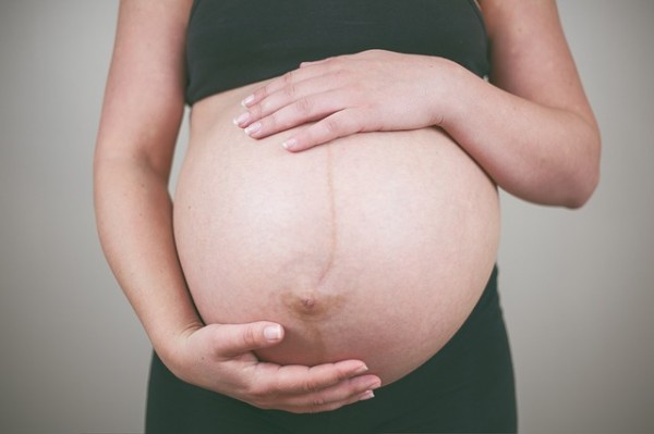 Pregnant Belly Mother Maternity Woman Female Pregnant Belly Mother Maternity Woman Female
