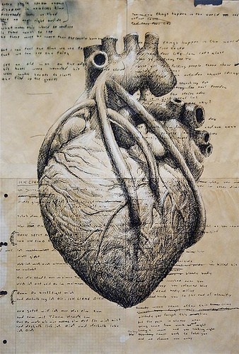 Human Heart Human Heart