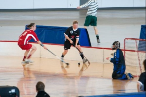 Team Sports can Reduce Stroke Risks by 40 Percent among Menopausal Women Team Sports can Reduce Stroke Risks by 40 Percent among Menopausal Women