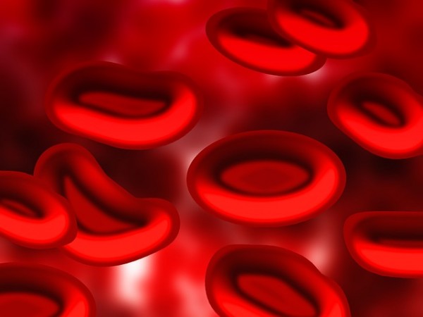 Blood Blood Plasma Red Blood Cells Plasma Infection