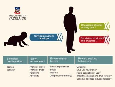 Oxytocin System and Addiction -- Web Version Oxytocin System and Addiction -- Web Version