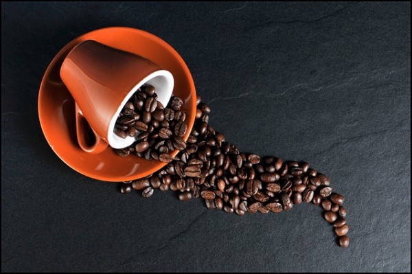 Coffee Cup Coffee Beans Coffee Cup Beans Coffee Cup Coffee Beans Coffee Cup Beans