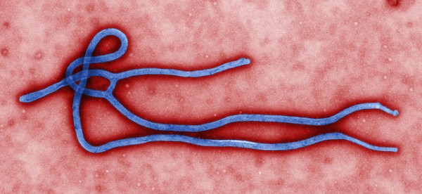 Ebola Ebola