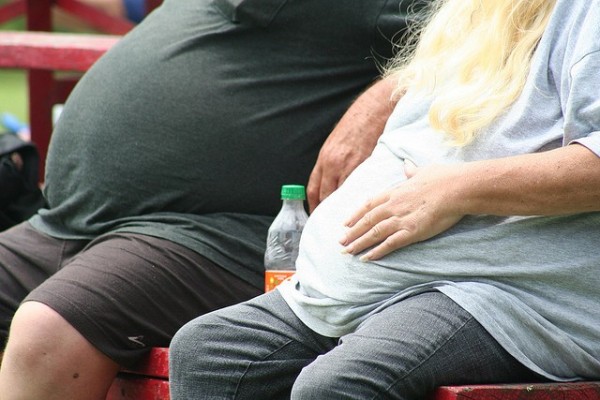 Survey Reveals Areas with Highest and Least Obesity rates