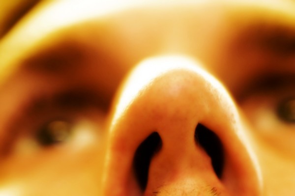Ears, Nose and Body Parts can Grown in Labs using Stem Cells